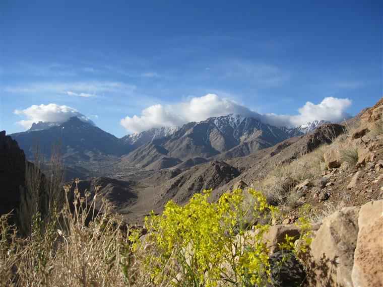 سفر به یزد در تابستان