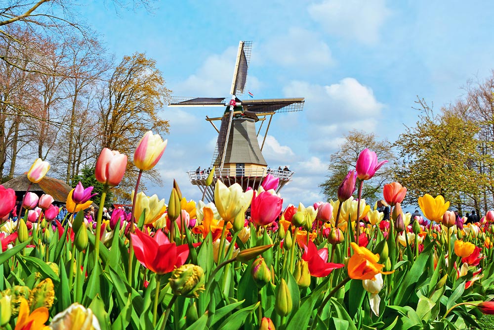 Keukenhof in the Netherlands