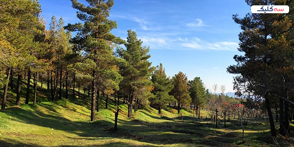 پارک جنگلی شیان