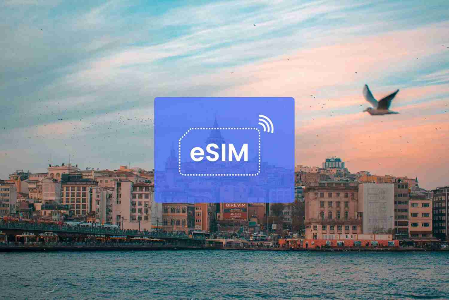 eSim 