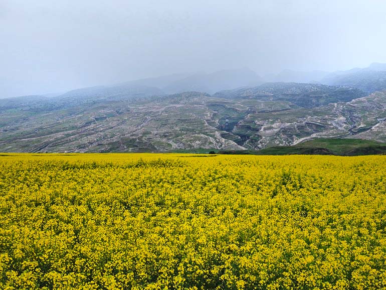 بهترین زمان رفت به دره خزینه