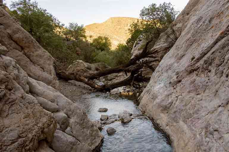 روستای تجنود