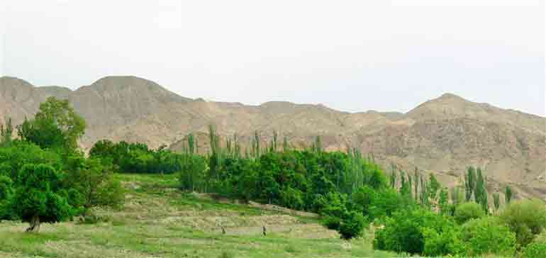 روستای تجنود