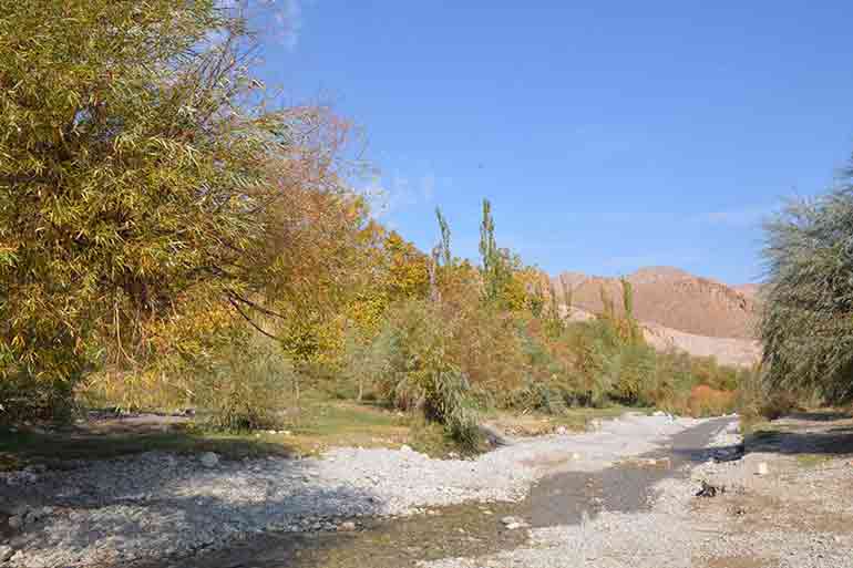 روستای تجنود