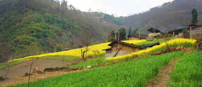 جاهای دیدنی روستای زرگر