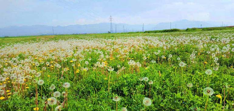 مراسم‌های روستای زرگر