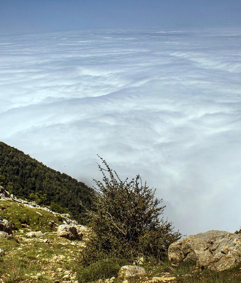 روستای اوپرت