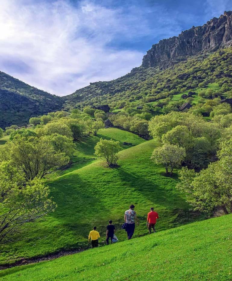 مخمل کوه