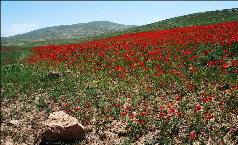 راهنمای سفر به درگز