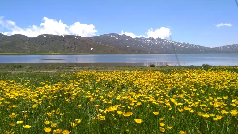 راهنمای سفر به اردبیل