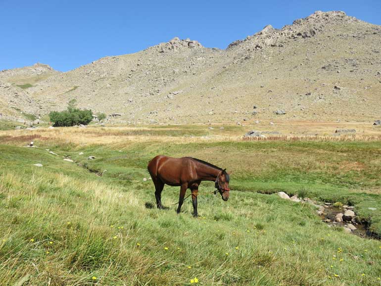 گنجنامه همدان