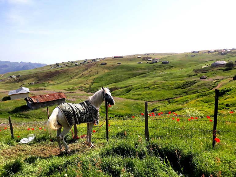 ییلاق سوباتان