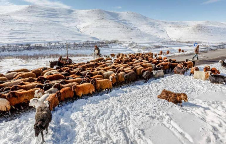 روستای حیله ور