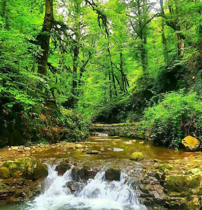 پارک ملی خشکه داران