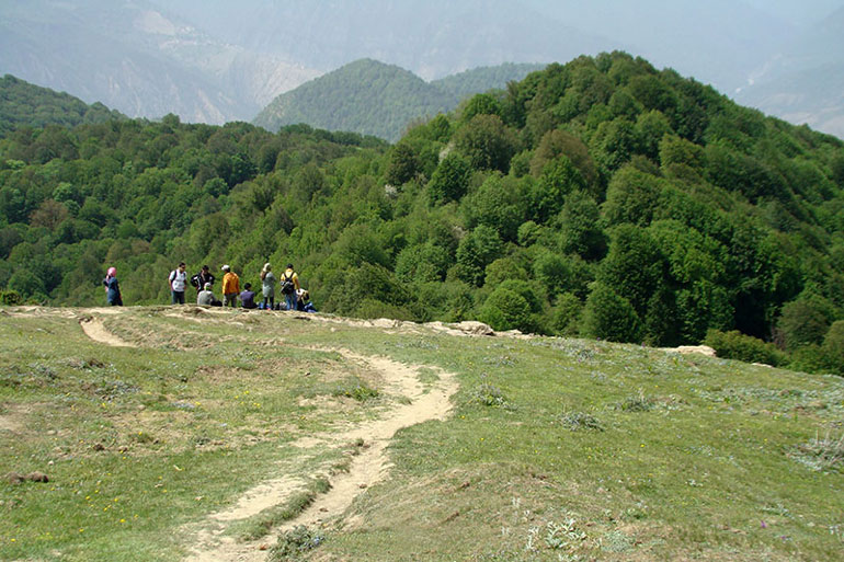 جنگل الیمستان