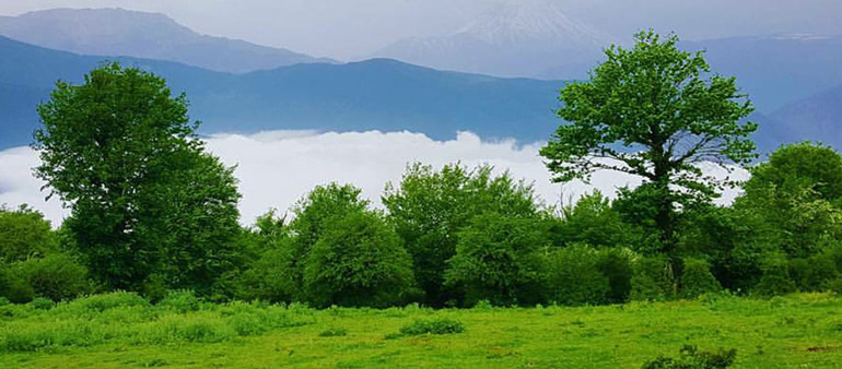 جاهای دیدنی جنگل الیمستان