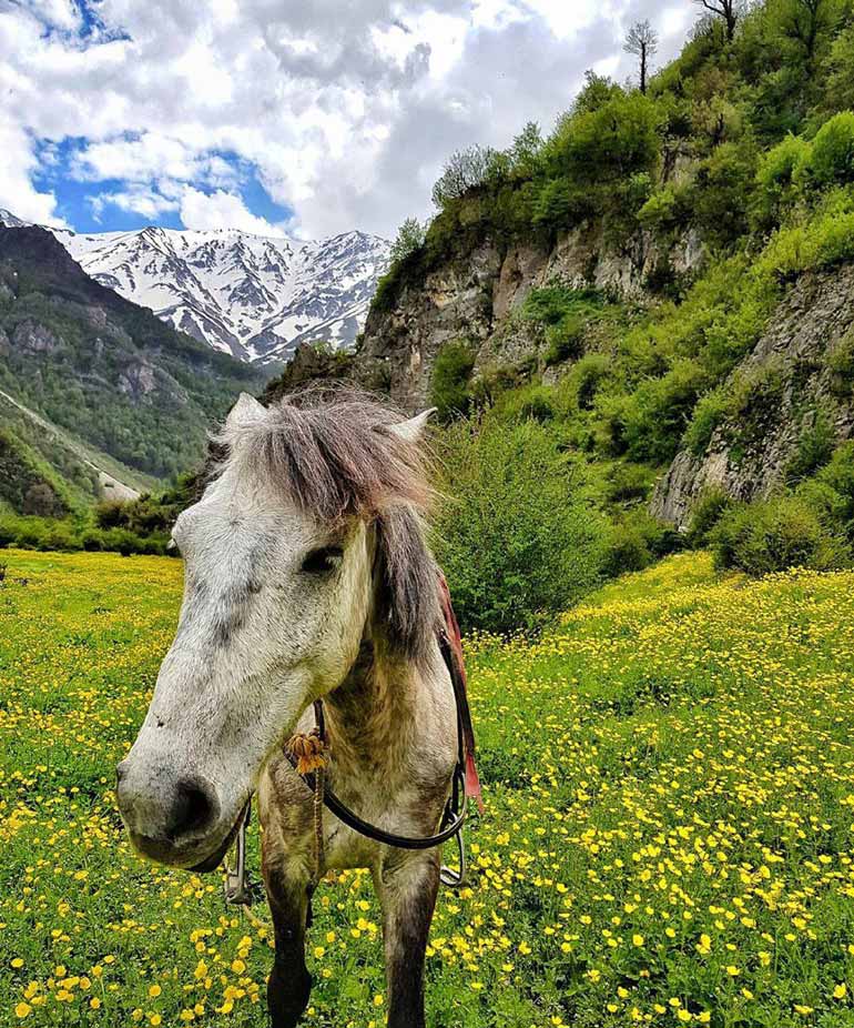 عکاسی در دریاسر