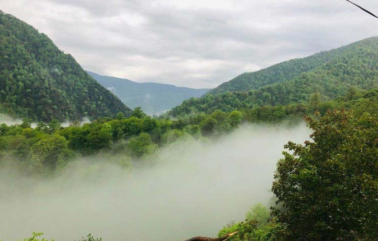 آشنایی با دریاچه و جنگل لفور