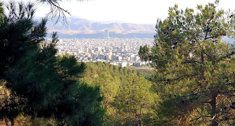 طبیعت زیبای پارک لویزان