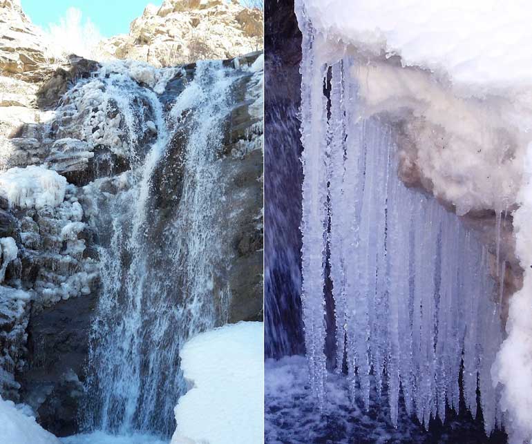 روستای برگ جهان