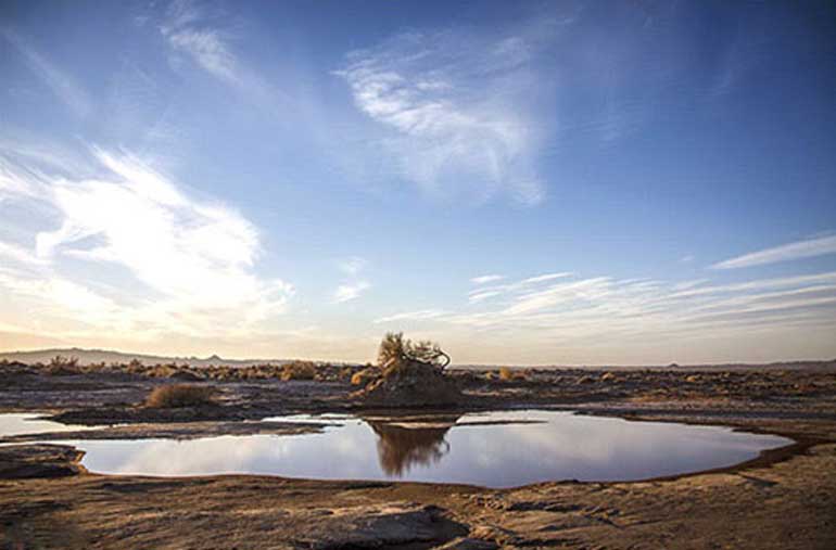 کویر شب گردی