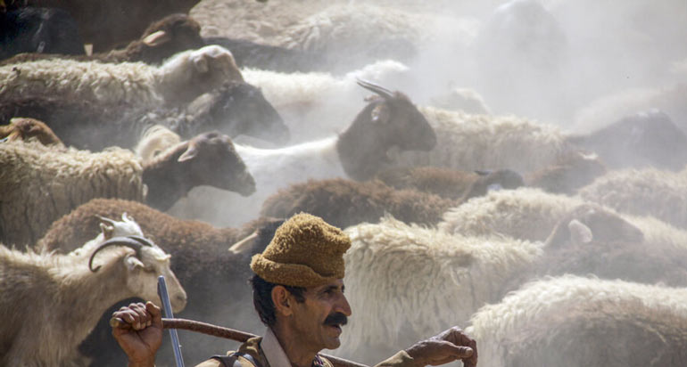 عشایر سنگسر