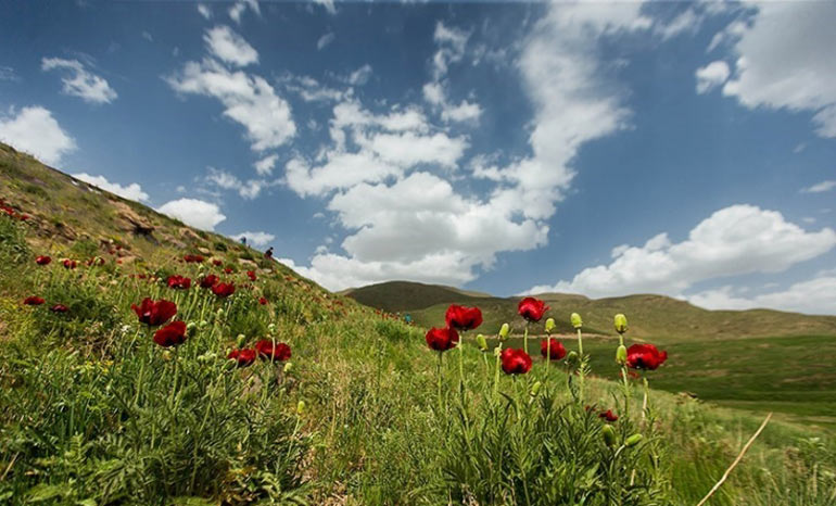 پارک ملی لار