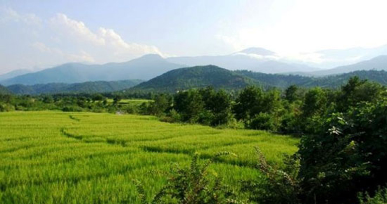 طبیعت زیبای شمال ایران