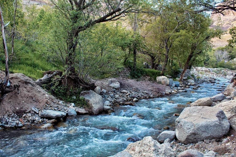 همراه بی‌ادعای جاده چالوس