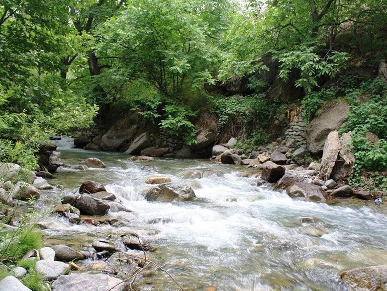 طبیعت روستای برغان