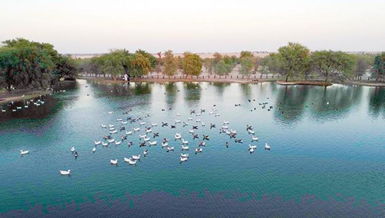 مقصد بین‌المللی گردشگران