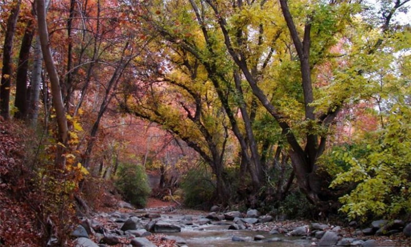 روستای برغان؛ مقصد سفر پاییزی اطراف تهران و کرج