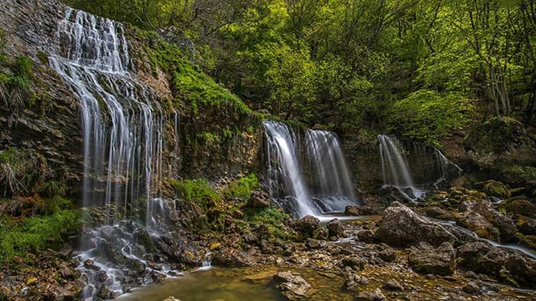 طبیعت آشار بیشه