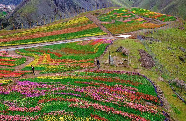 روستای کندر