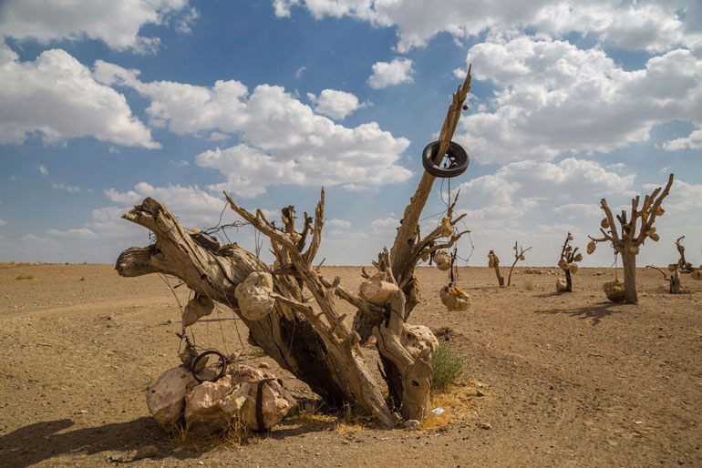 باغ سنگی