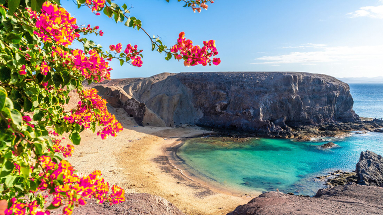 جزایر قناری