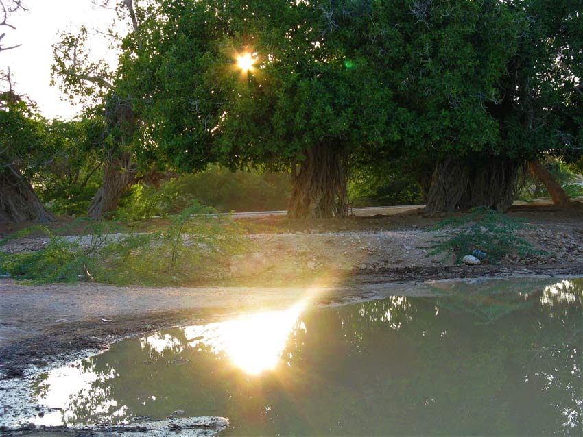 روستای باغو کجاست؟