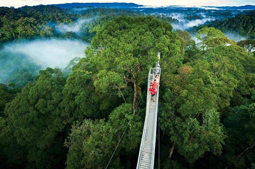 پارک بیولوژیکی Monteverde Cloud Forest