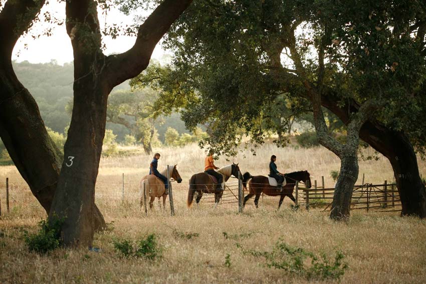 pic 15 Alentejo