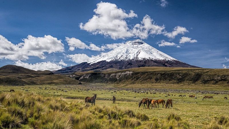 کوتوپاکسی - جاهای دیدنی اکوادور 