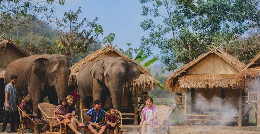 5Elephant Village Sanctuary