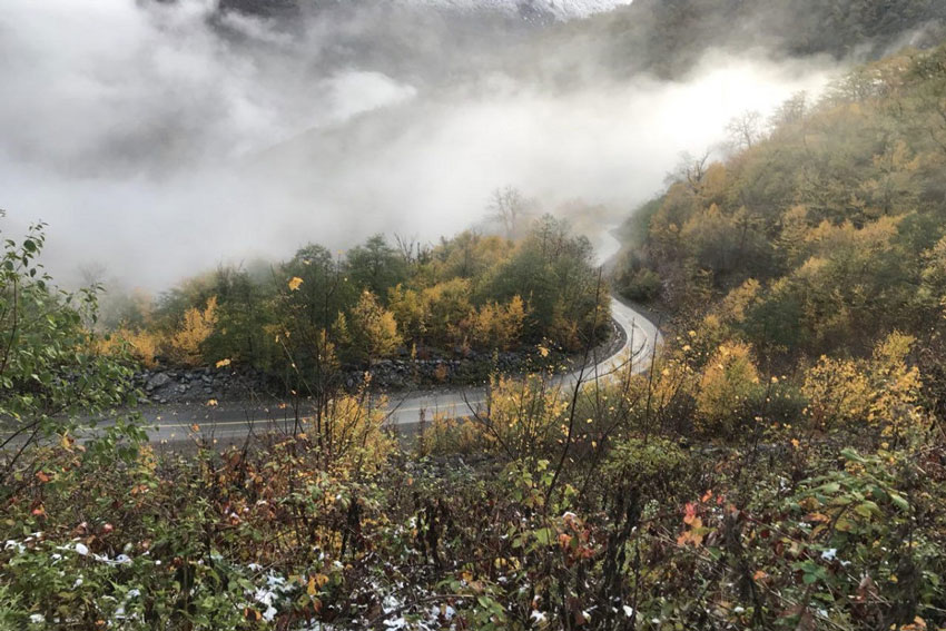 جنگل توسکستان از مکان های دیدنی گرگان