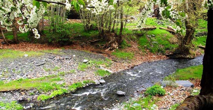 طبیعت‌گردی در جاغرق