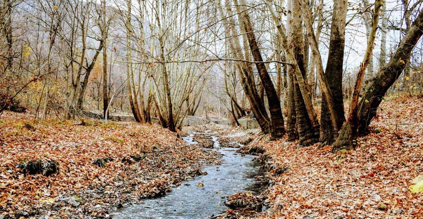 مسیر رسیدن به شاندیز مشهد