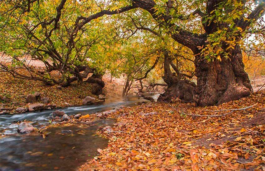 جاهای دیدنی لرستان