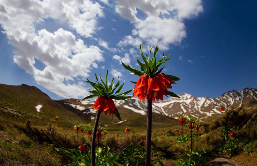 جاهای دیدنی لرستان