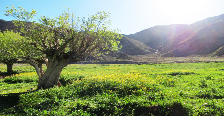 مریوان دشت ناوطاق