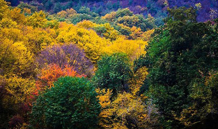 جاذبه های طبیعی استان گلستان