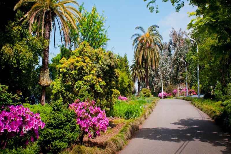 باغ گیاه شناسی باتومی