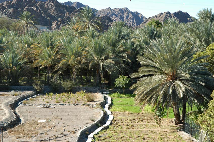 بازار قدیمی بوشهر ایران